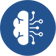 Icon_Nervous-system_2_56x56.png